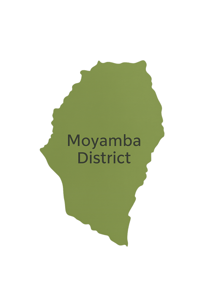 Moyamba district map img 2
